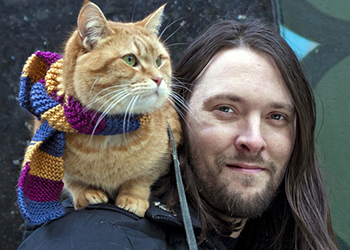 Make a dedication to the memory of a cat for the day Bob