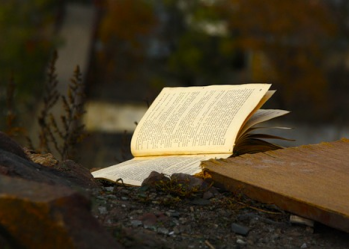 ТОП-10 книг, які неможливо дочитати до кінця.