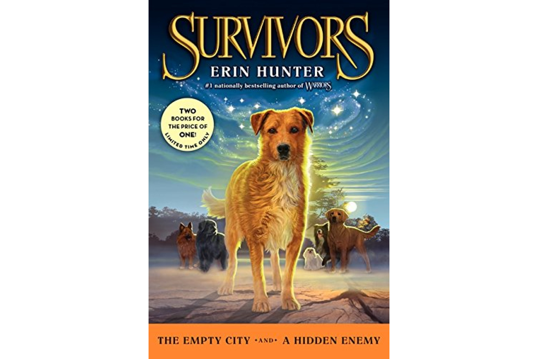 Survivors: The Empty City and a Hidden Enemy (Survivors, 1-2)