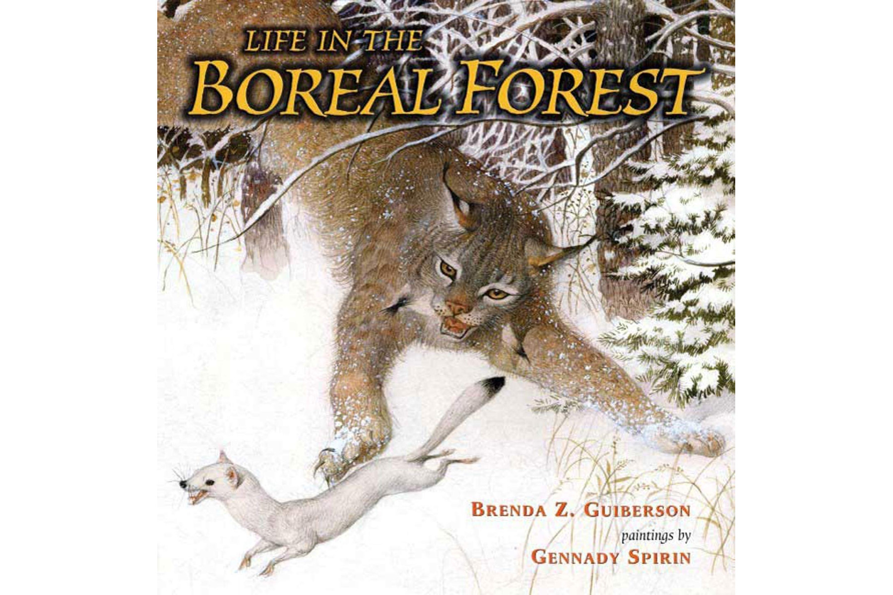 Life in the Boreal Forest