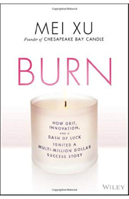 Burn: How Grit, Innovation, and a Dash of Luck Ignited a Multi–Million Dollar Success Story