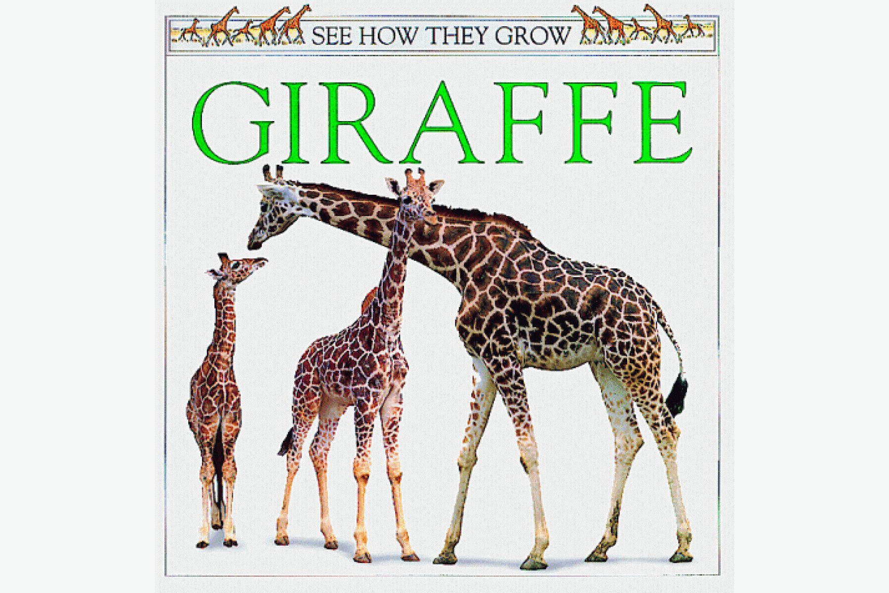 Giraffe (See How They Grow)