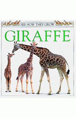 Giraffe (See How They Grow)