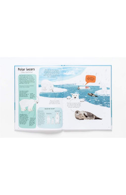 A Book of Bears: At Home with Bears Around the World