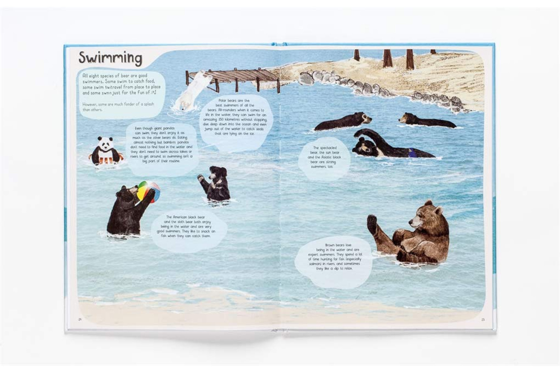 A Book of Bears: At Home with Bears Around the World