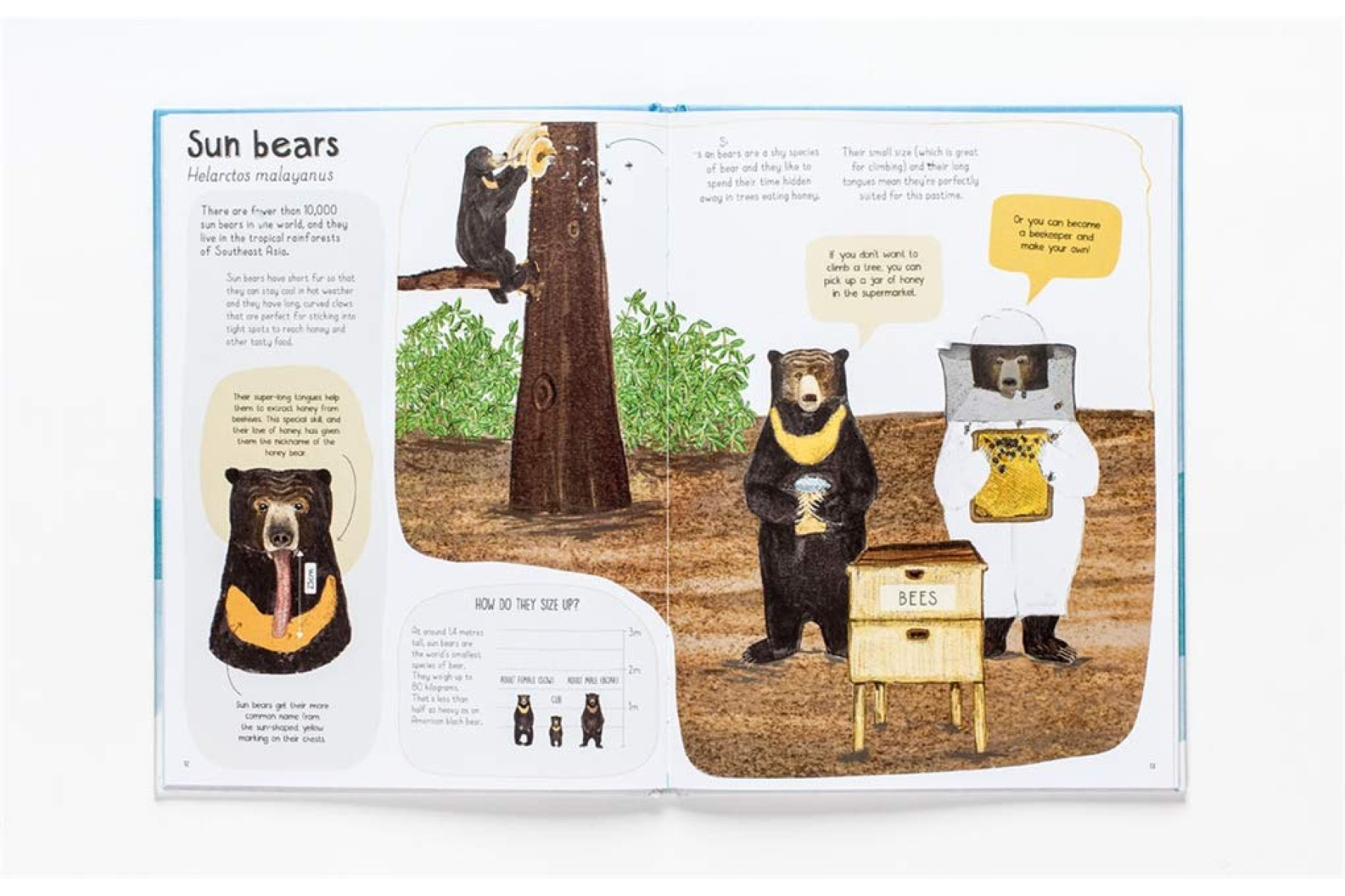 A Book of Bears: At Home with Bears Around the World