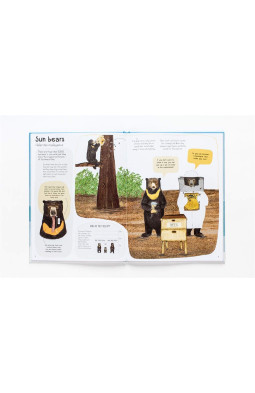 A Book of Bears: At Home with Bears Around the World