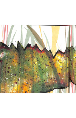 Solomon Crocodile