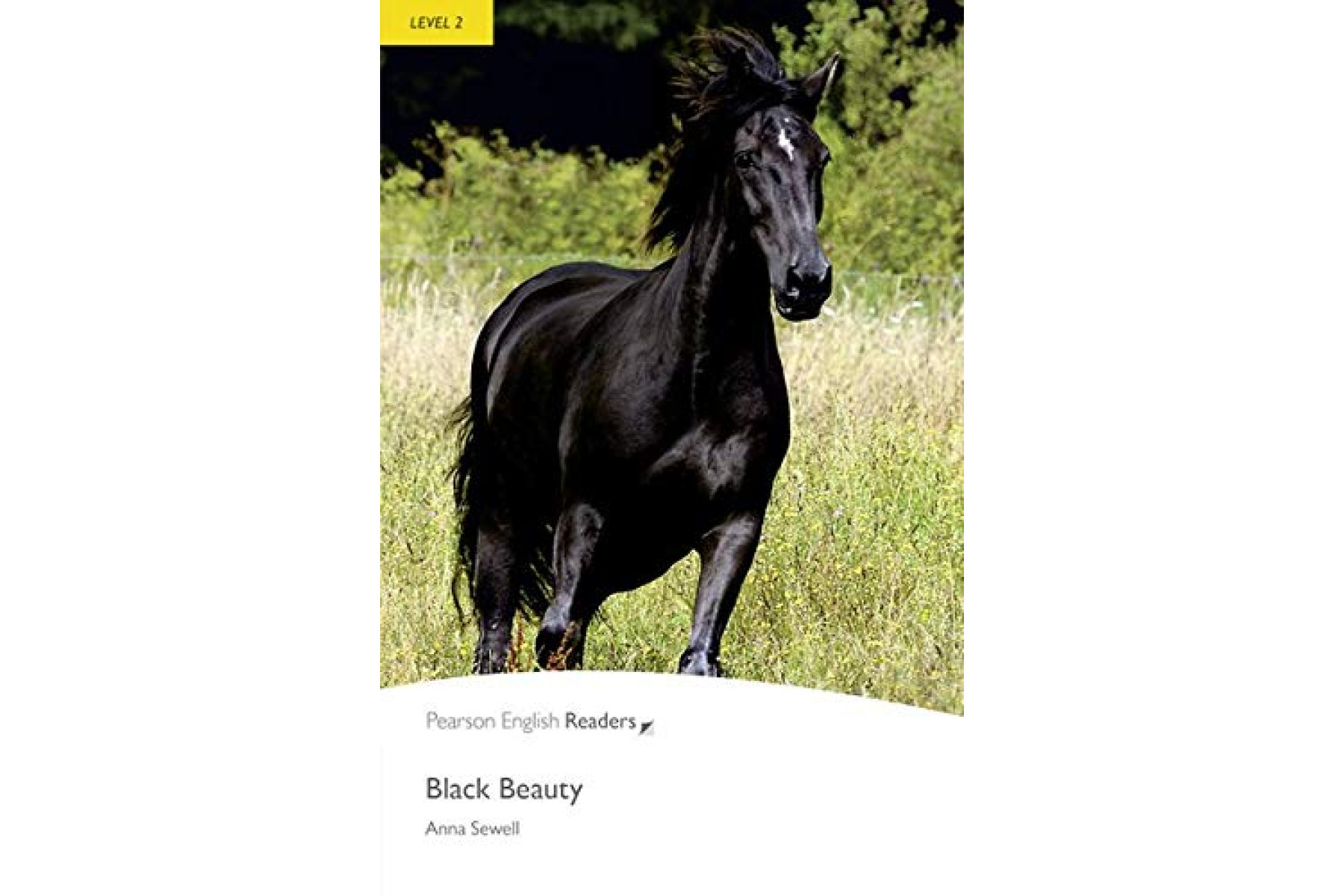PR 2: Black Beauty Book and  MP3 Pack
