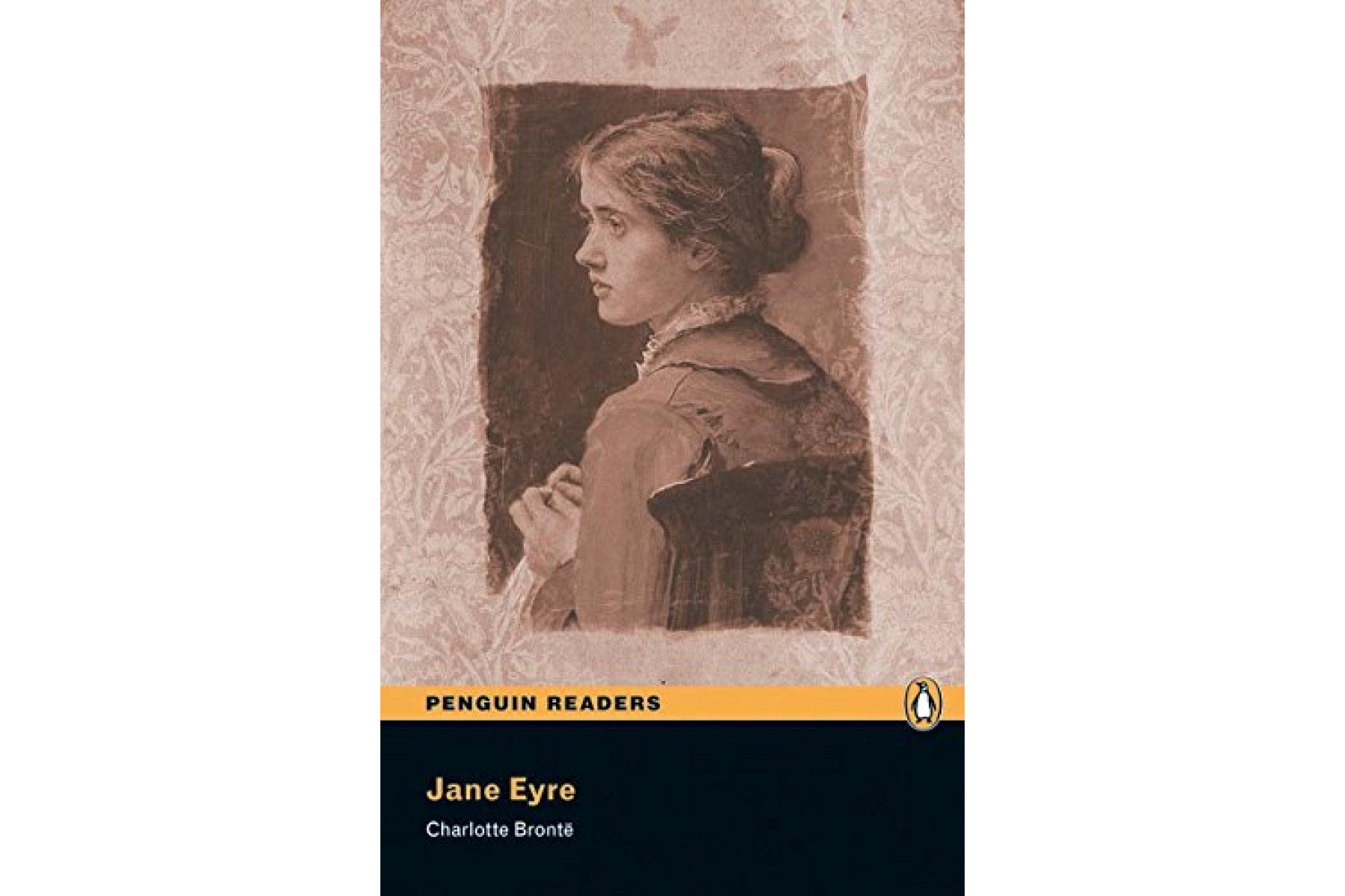 PR 3: Jane Eyre Book and  MP3 Pack