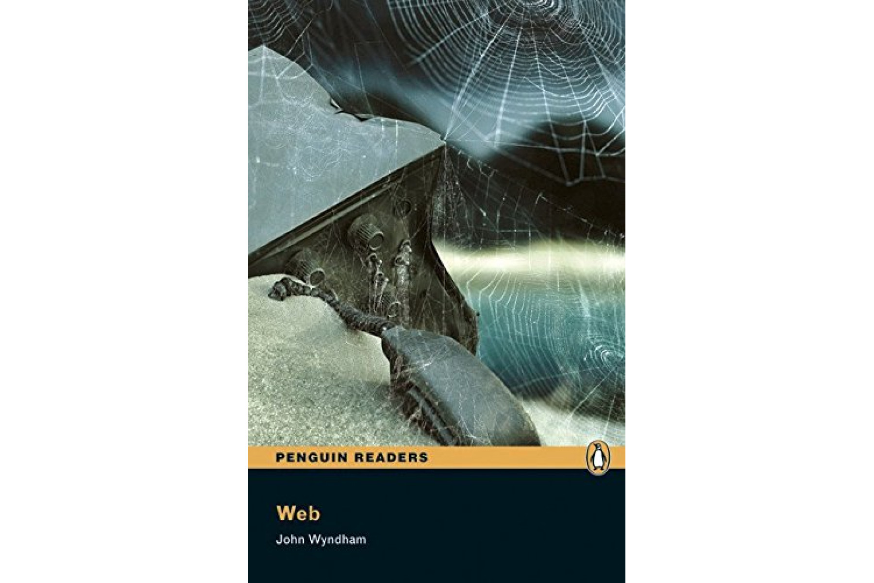 PR 5: The Web  Book with CD Pack