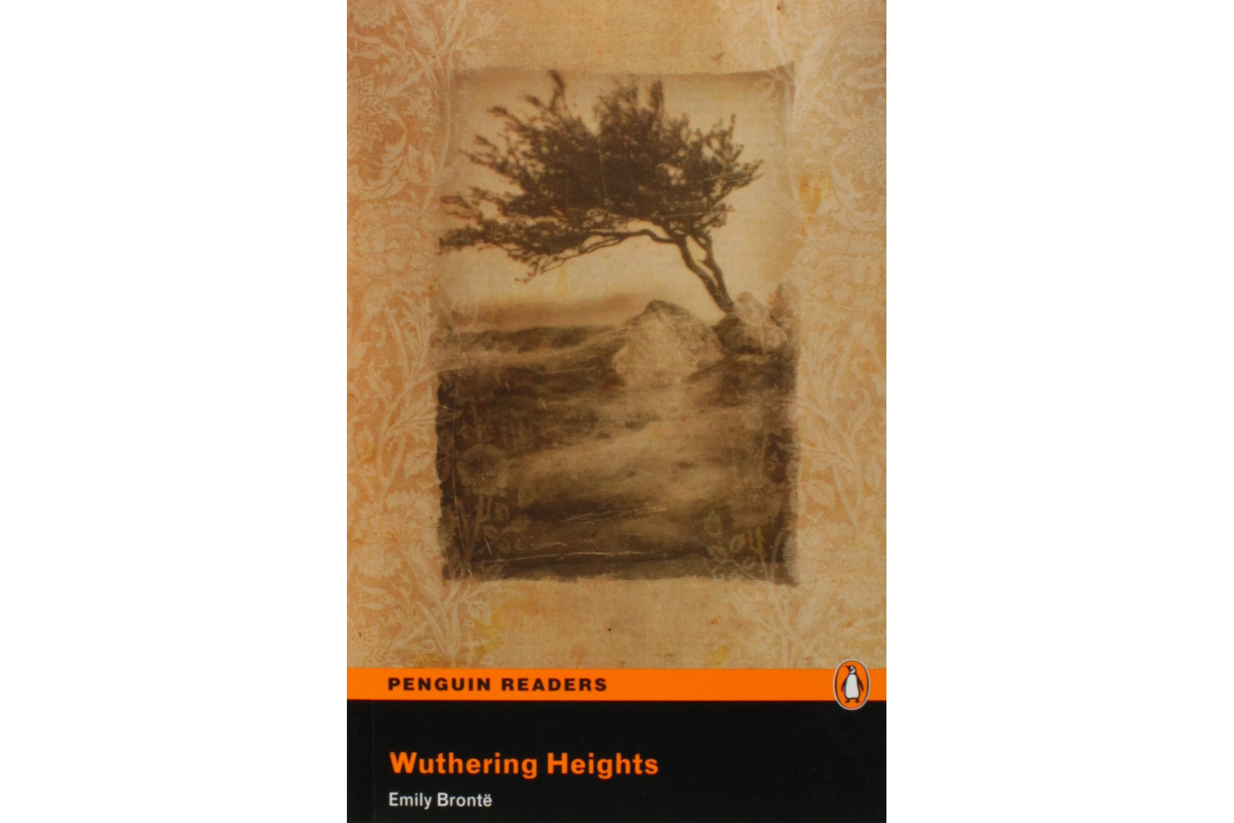 PR 5: Wuthering Heights Book and MP3 Pack