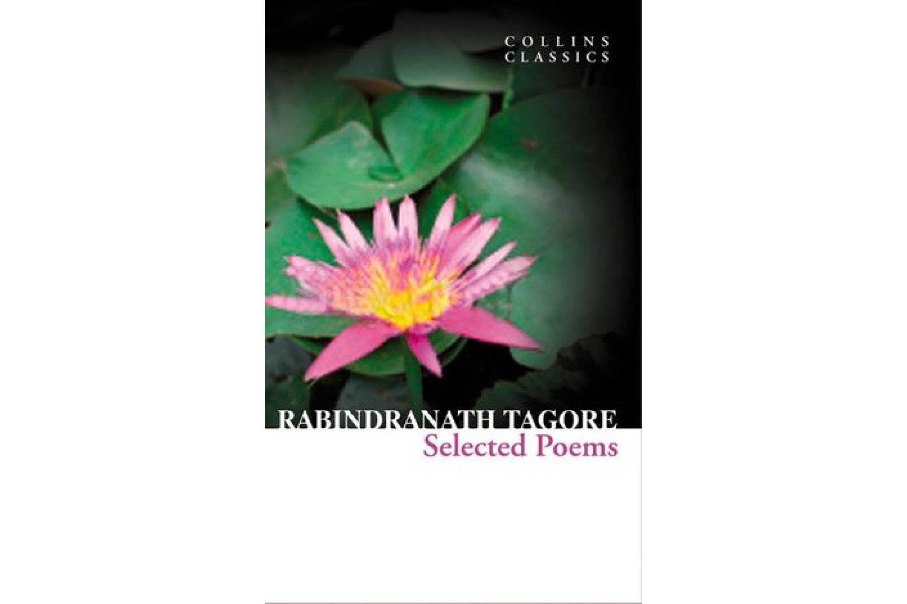 Selected Poems (Collins Classics)