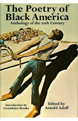 The Poetry of Black America: Anthology of the 20th Century