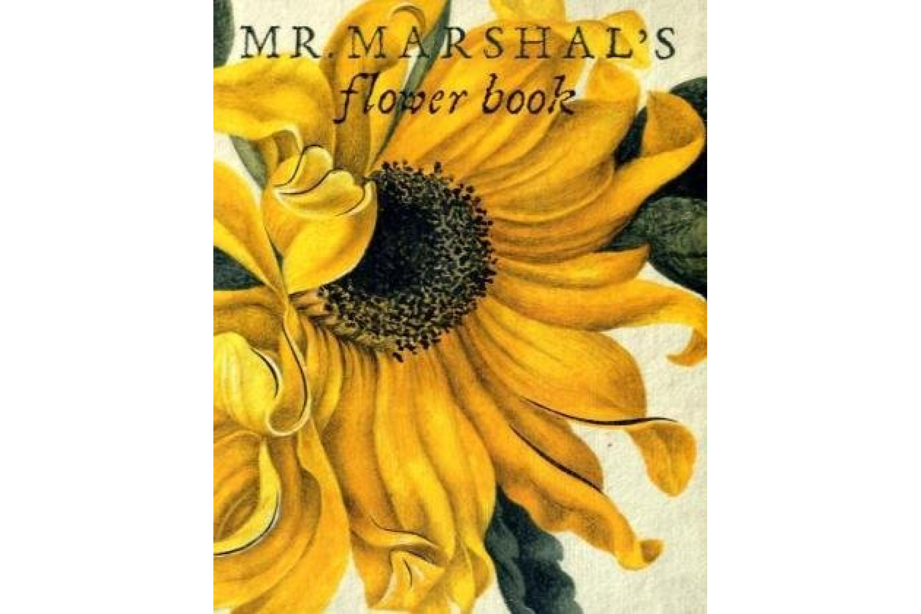 Mr Marshal's Flower Book: Being a Compendium of the Flower Portraits of Alexander Marshal Esq