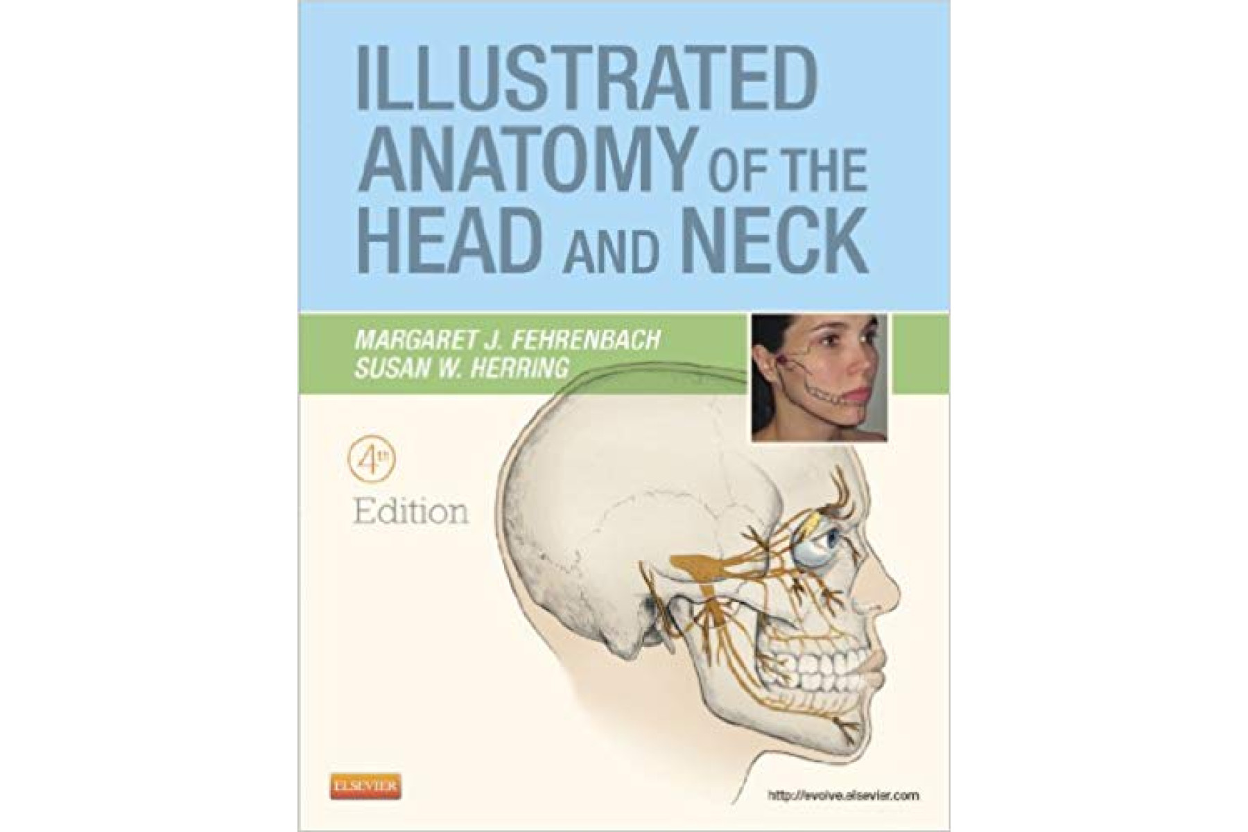 Illustrated Anatomy of the Head and Neck, 4e (.Net Developers Series)