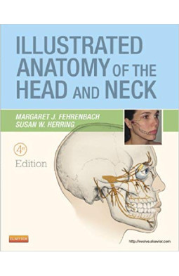 Illustrated Anatomy of the Head and Neck, 4e (.Net Developers Series)