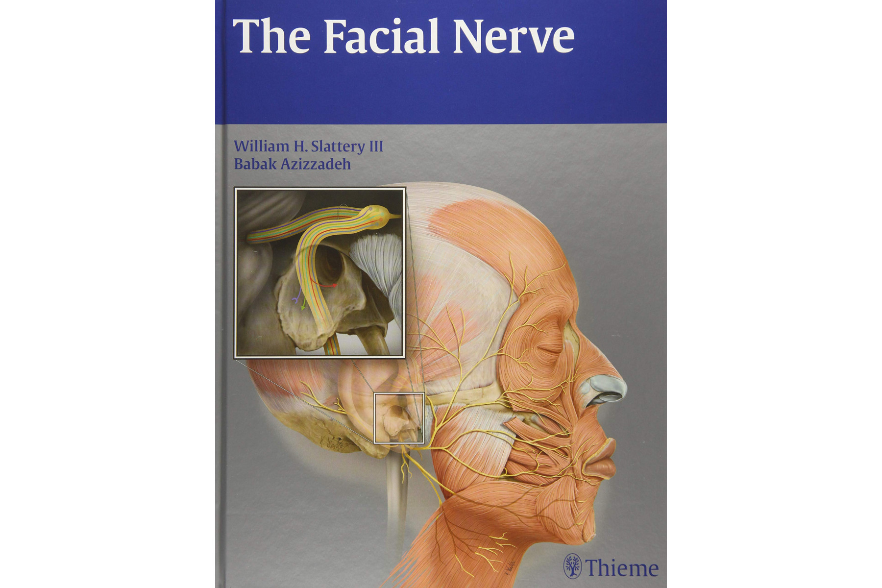 The Facial Nerve