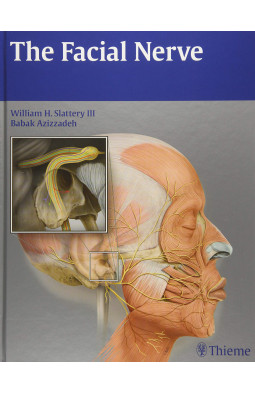 The Facial Nerve