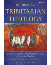 Rethinking Trinitarian Theology: Disputed Questions and Contemporary Issues in Trinitarian Theology