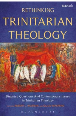 Rethinking Trinitarian Theology: Disputed Questions and Contemporary Issues in Trinitarian Theology