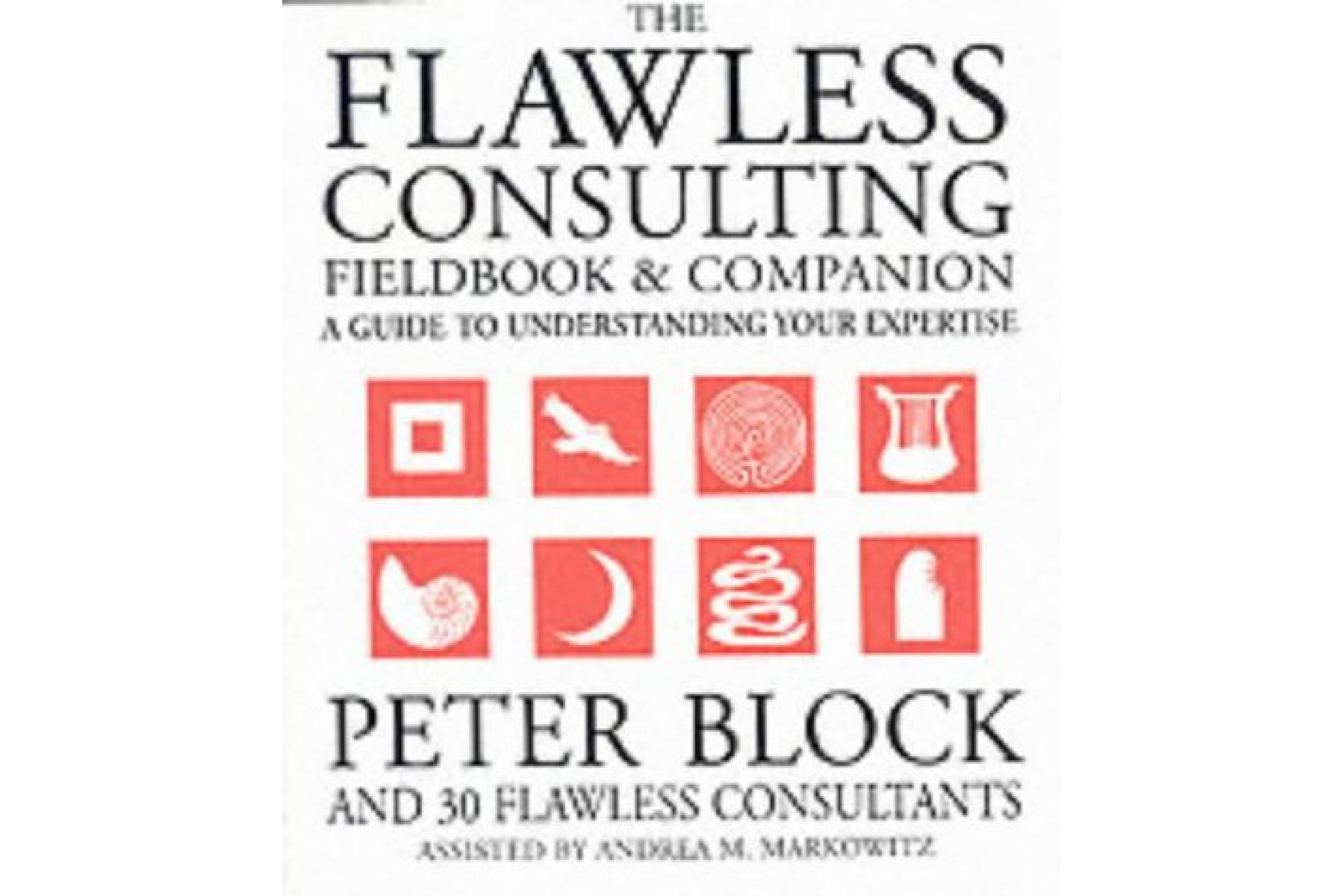The Flawless Consulting Fieldbook and Companion: A Guide to Understanding Your Expertise