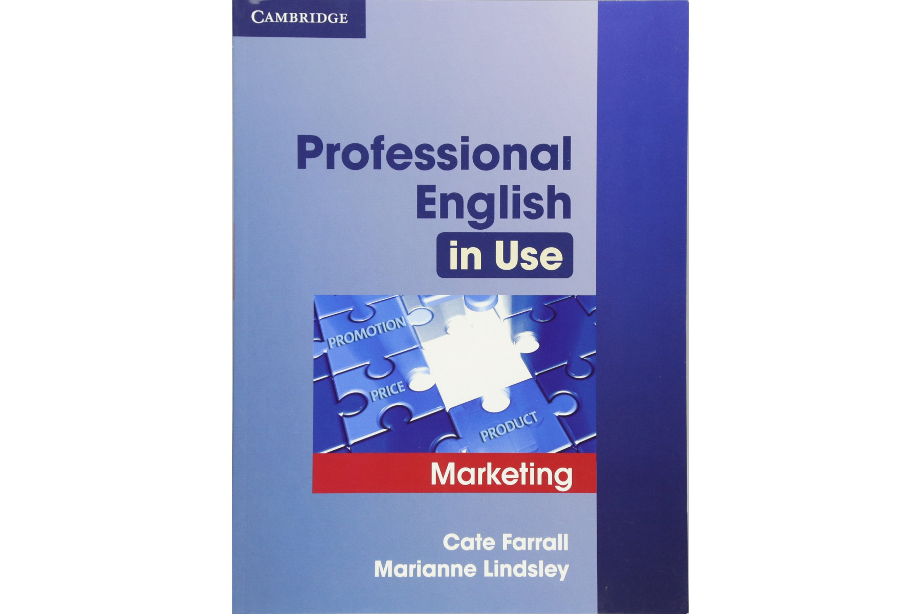 Professional english in Use Marketing
