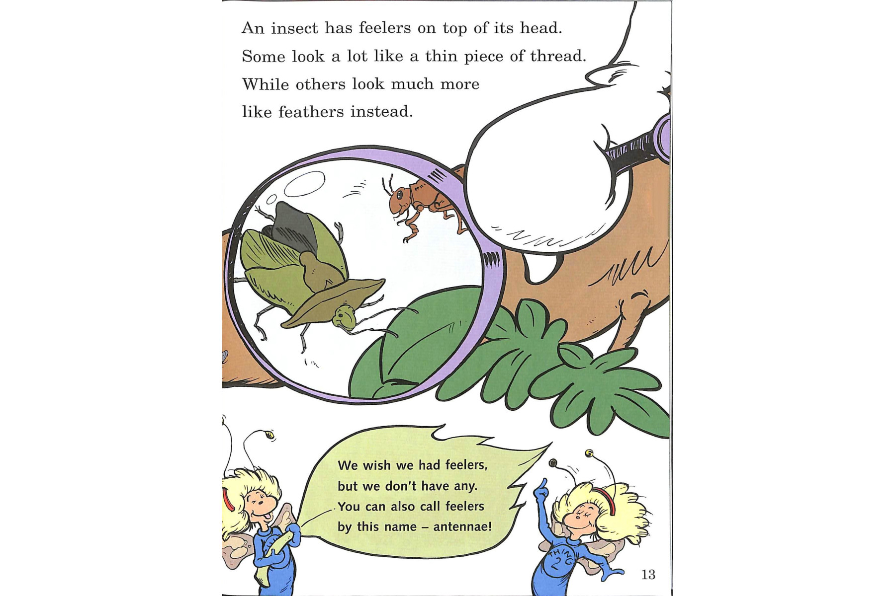 On Beyond Bugs (Cat in the Hat's Learning Library)