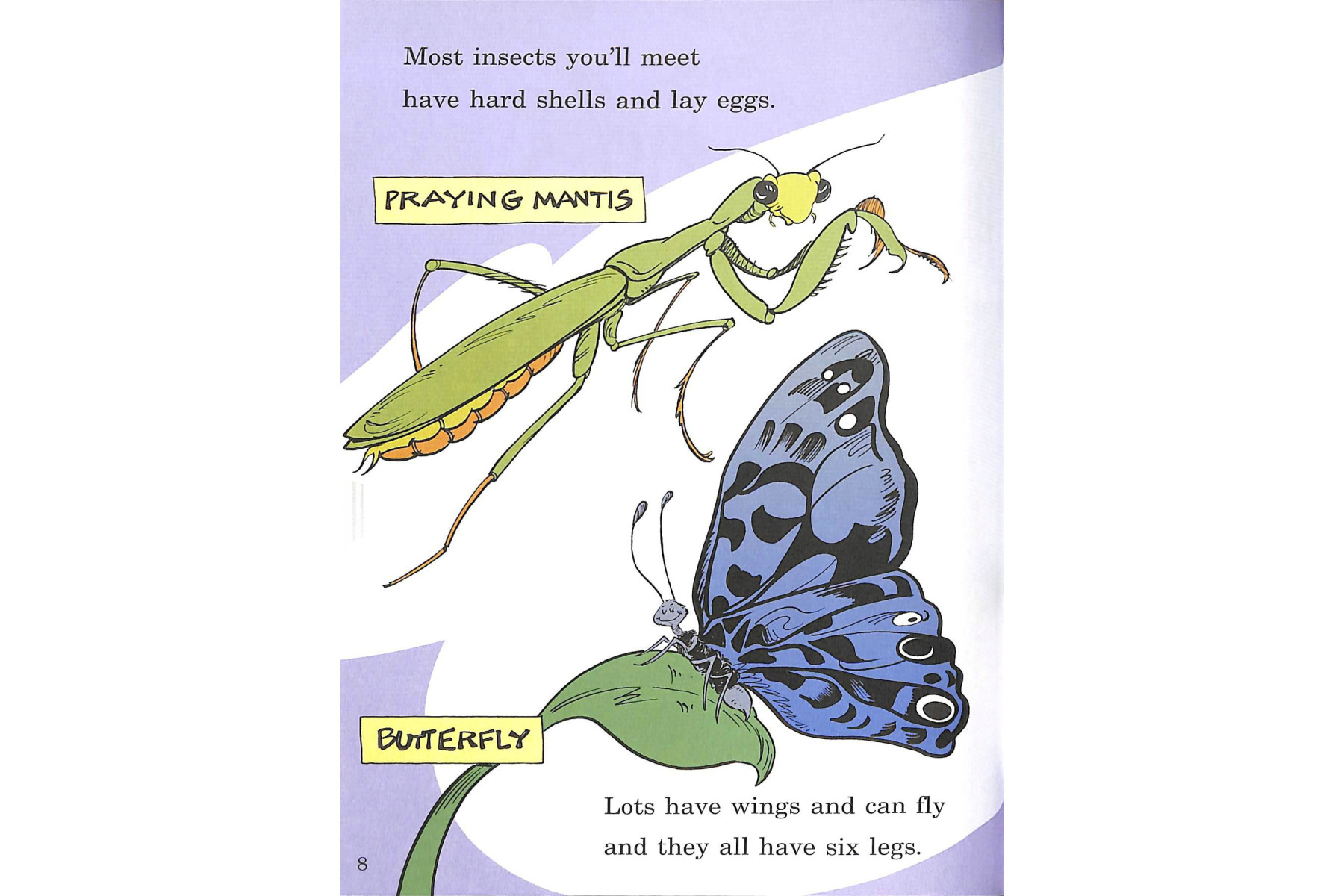 On Beyond Bugs (Cat in the Hat's Learning Library)
