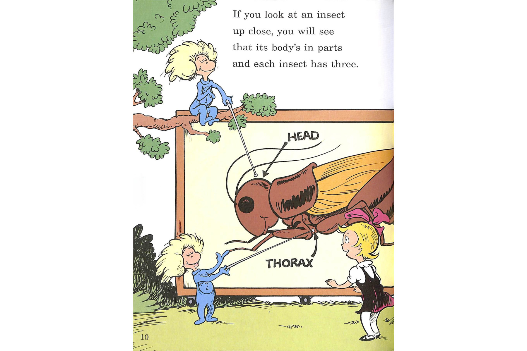 On Beyond Bugs (Cat in the Hat's Learning Library)