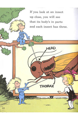 On Beyond Bugs (Cat in the Hat's Learning Library)
