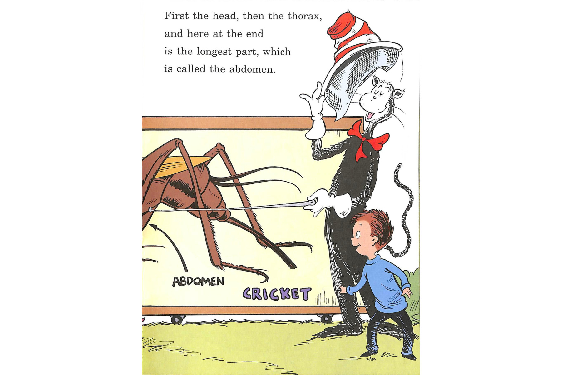 On Beyond Bugs (Cat in the Hat's Learning Library)