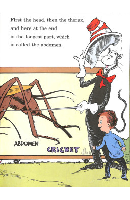 On Beyond Bugs (Cat in the Hat's Learning Library)