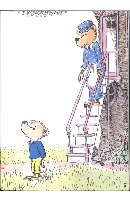The Bike Lesson: Another Adventure of the Berenstain Bears