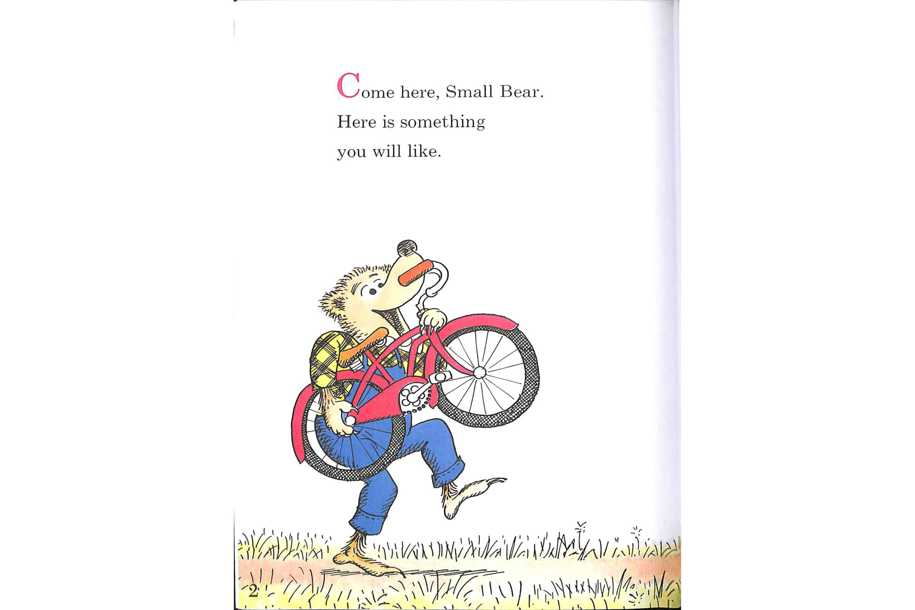 The Bike Lesson: Another Adventure of the Berenstain Bears