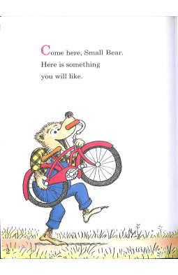 The Bike Lesson: Another Adventure of the Berenstain Bears