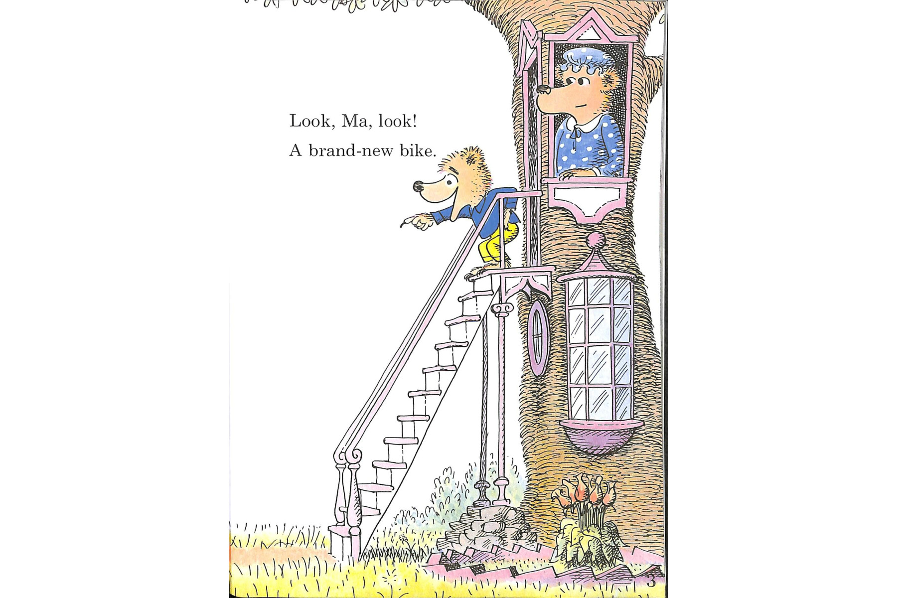 The Bike Lesson: Another Adventure of the Berenstain Bears