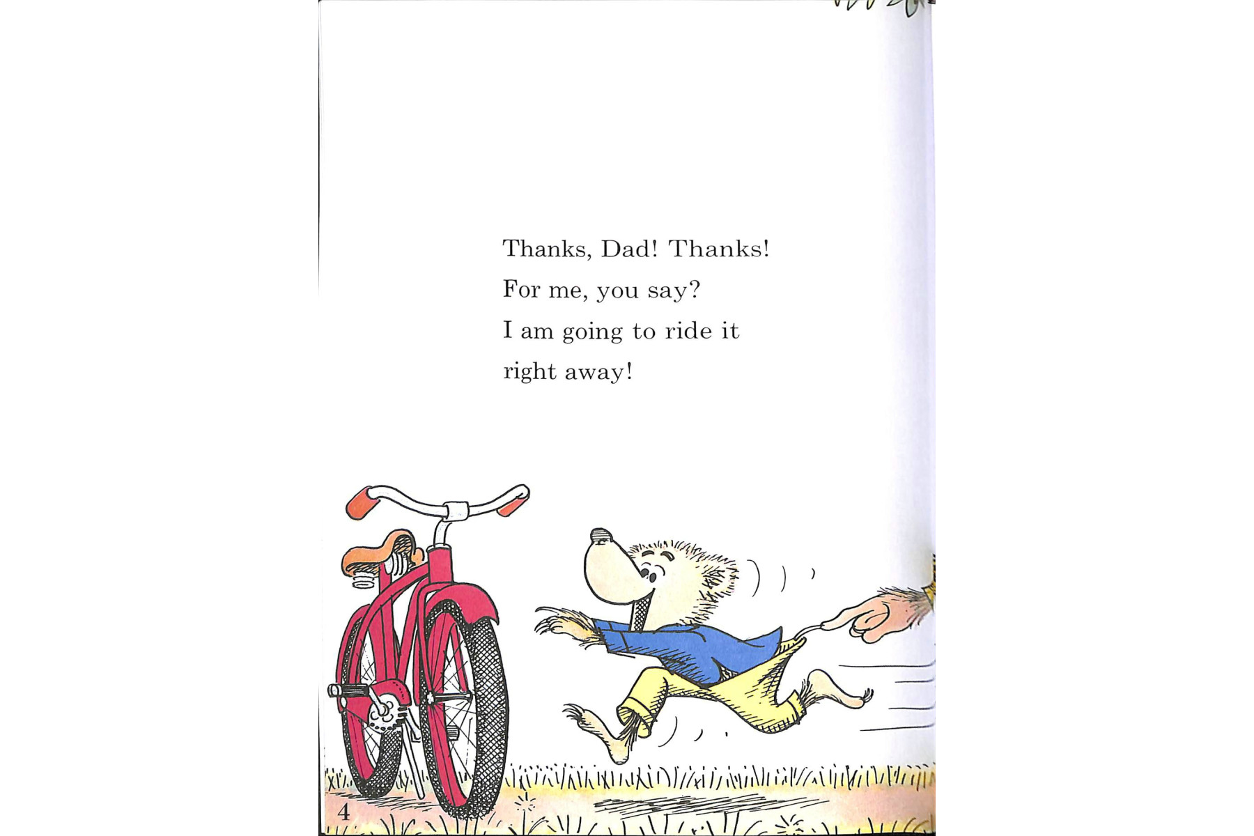 The Bike Lesson: Another Adventure of the Berenstain Bears