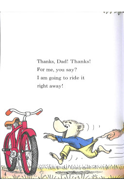 The Bike Lesson: Another Adventure of the Berenstain Bears