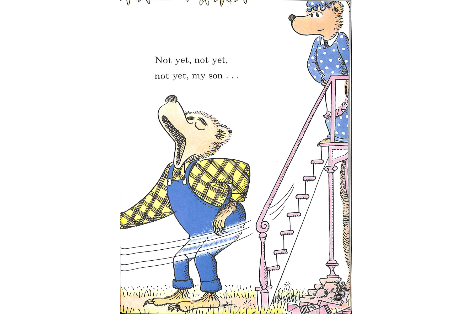 The Bike Lesson: Another Adventure of the Berenstain Bears