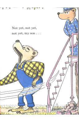The Bike Lesson: Another Adventure of the Berenstain Bears