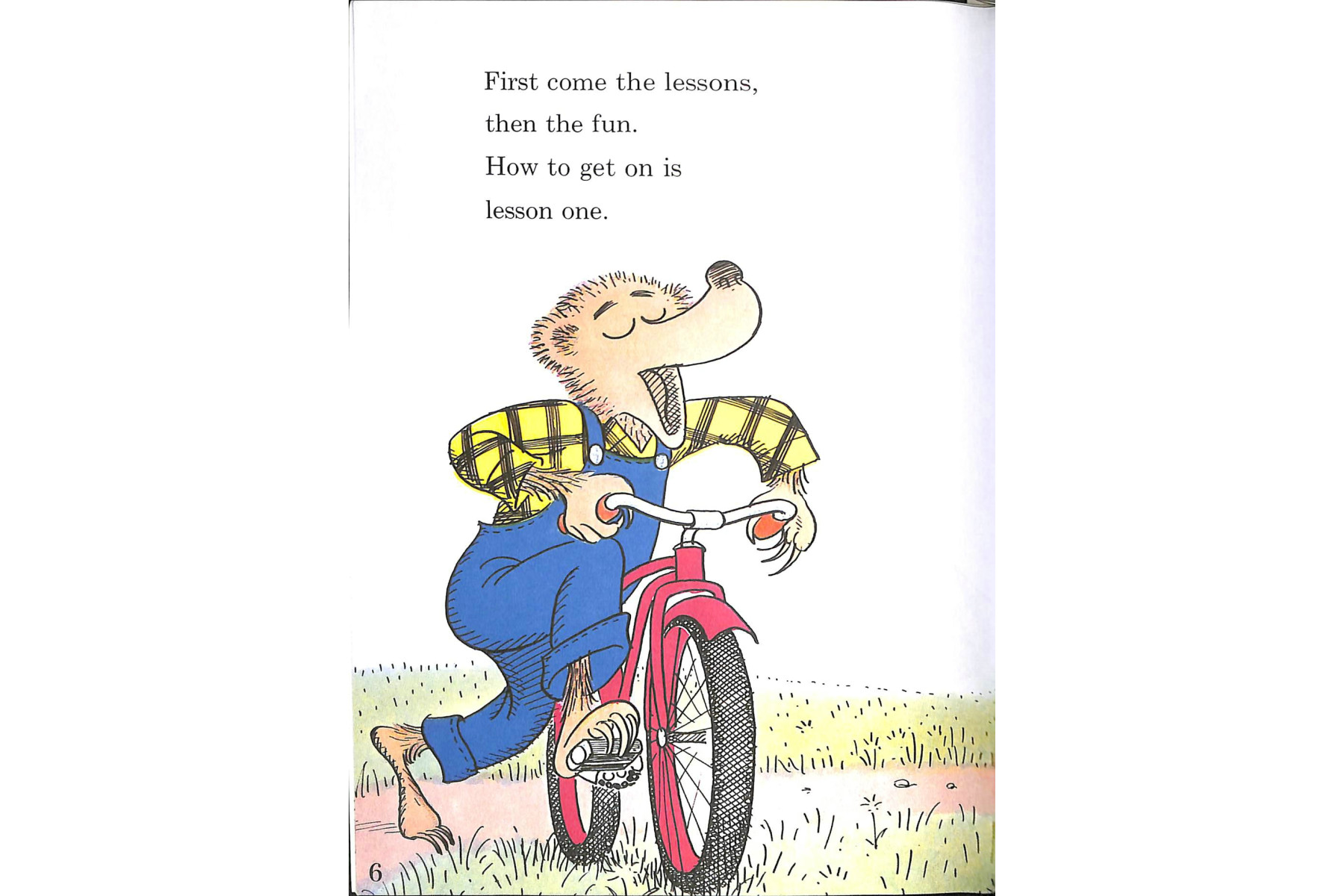 The Bike Lesson: Another Adventure of the Berenstain Bears