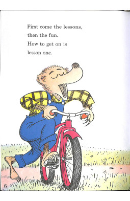 The Bike Lesson: Another Adventure of the Berenstain Bears