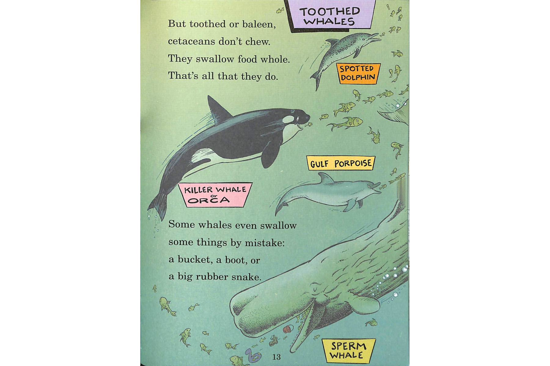 Whale of a Tale! (Cat in the Hat's Learning Library)