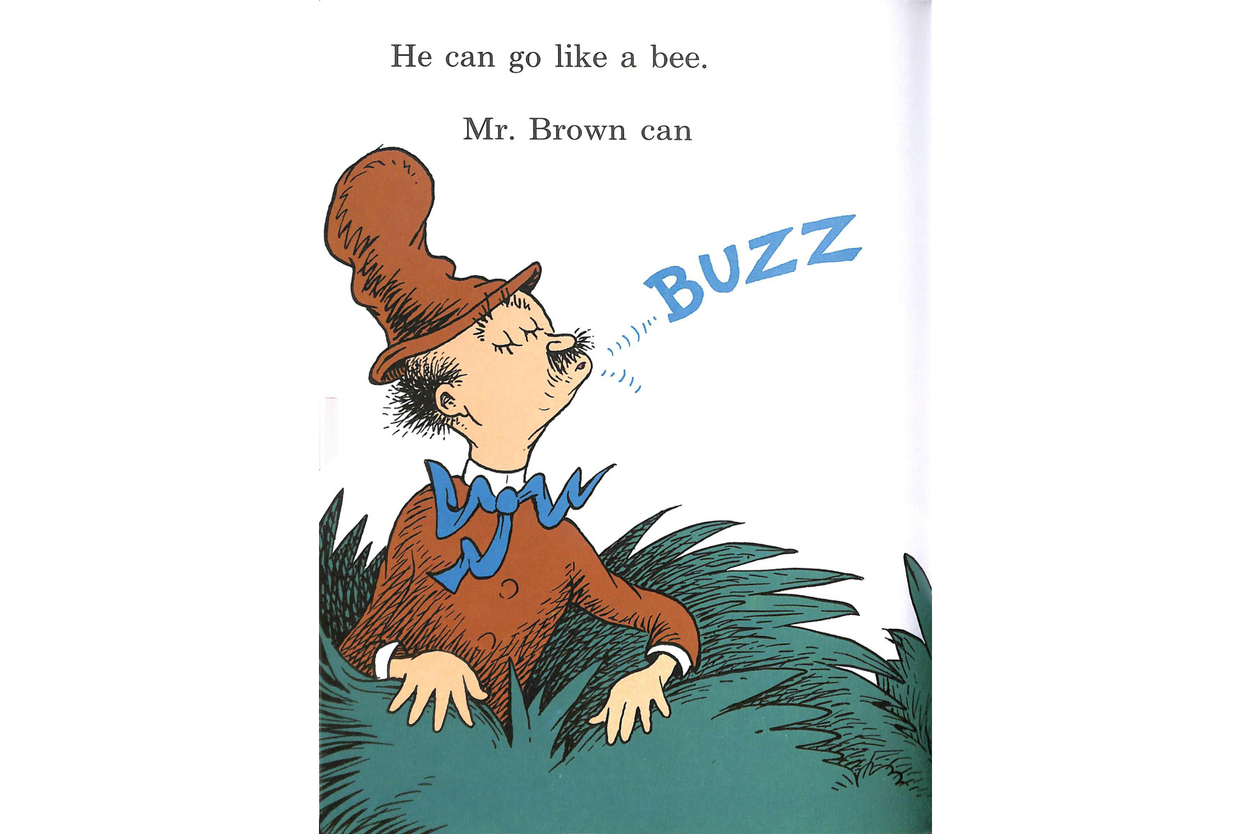 Mr Brown Can Moo! Can You? (Dr Seuss)