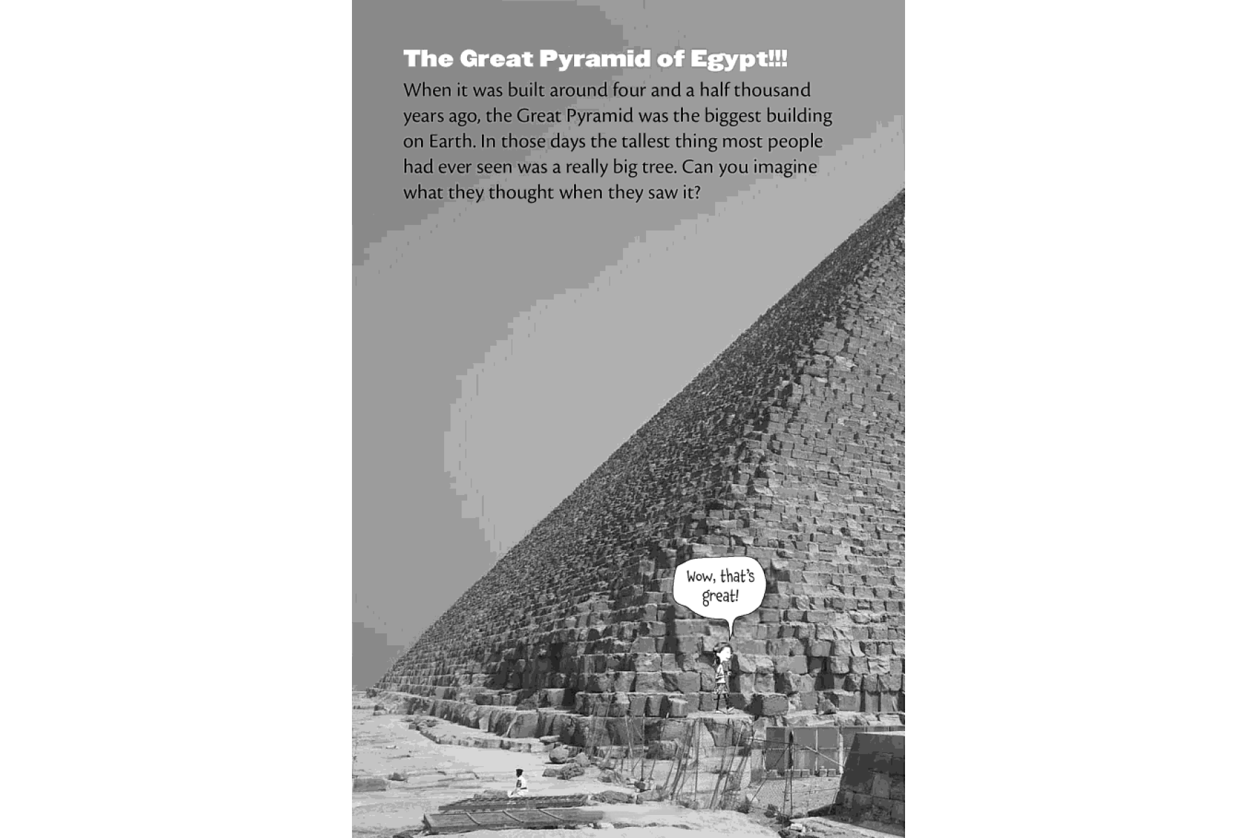 Tony Robinson's Weird World of Wonders! Egyptians