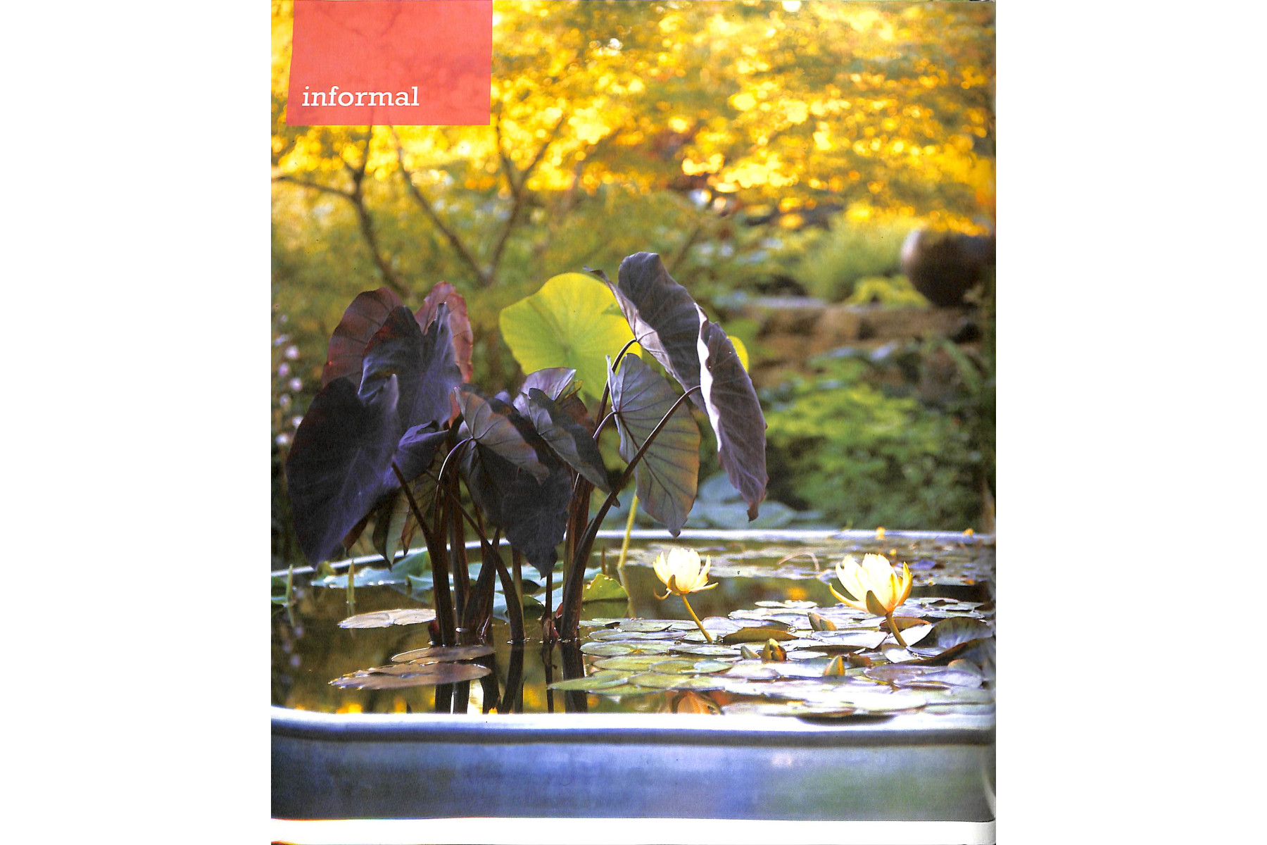 Sunset Outdoor Design & Build: Container Gardening: Fresh Ideas for Outdoor Living