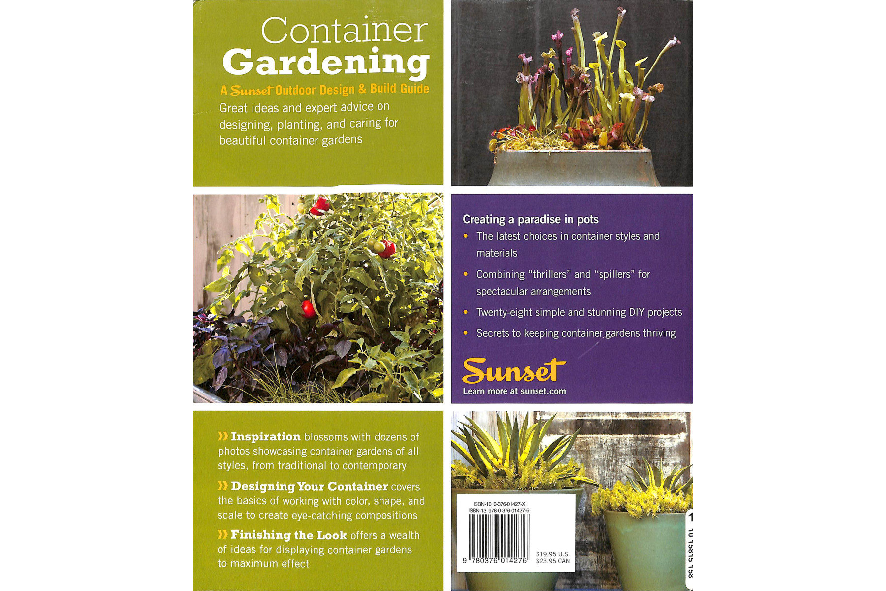 Sunset Outdoor Design & Build: Container Gardening: Fresh Ideas for Outdoor Living