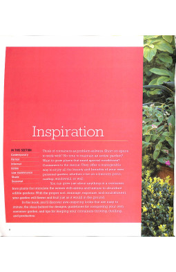 Sunset Outdoor Design & Build: Container Gardening: Fresh Ideas for Outdoor Living