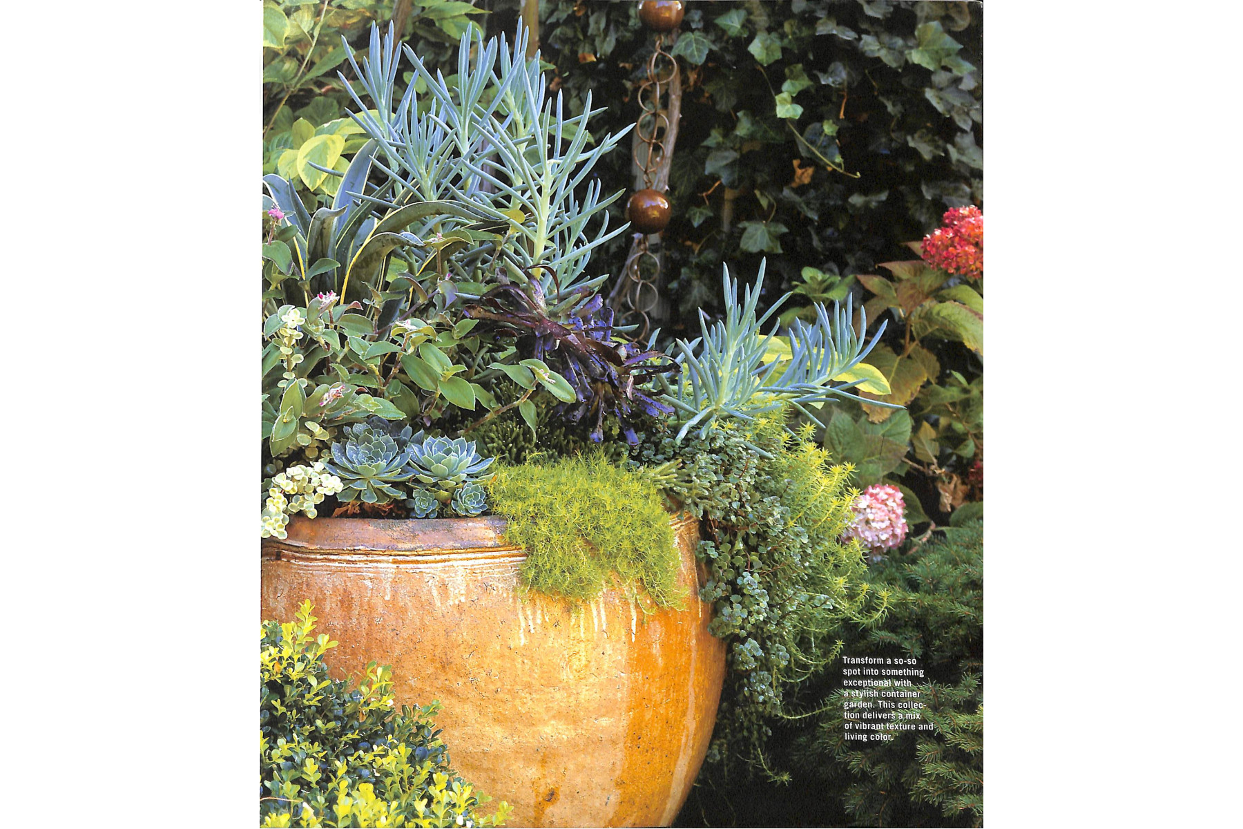 Sunset Outdoor Design & Build: Container Gardening: Fresh Ideas for Outdoor Living